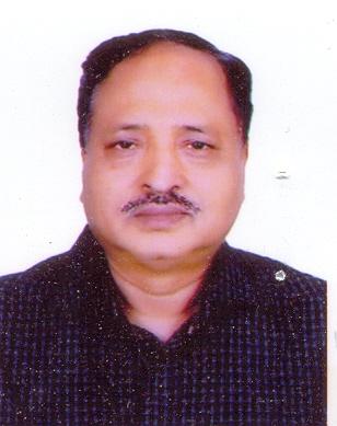 Mr. Azizul Hoque Mazumder (Salim)
